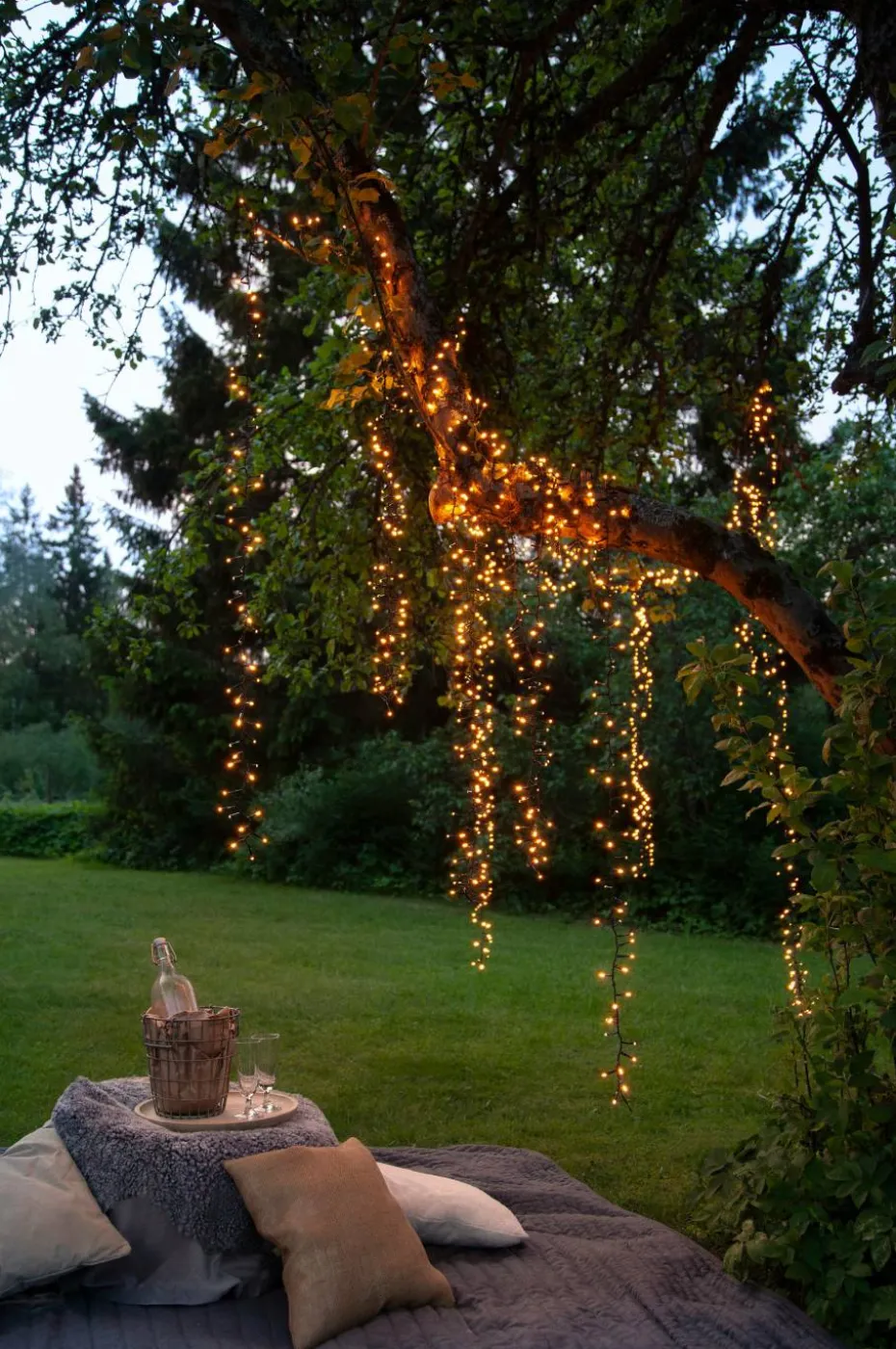 Star Trading Lyslenke Golden Warm White 540LED