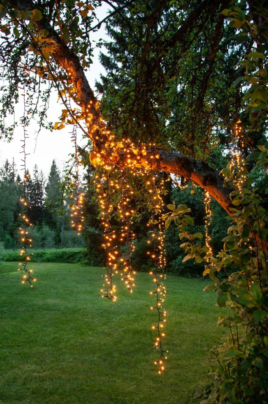 Star Trading Lyslenke Golden Warm White 540LED