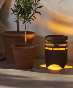 Star Trading Solcellelykt Marron 25cm