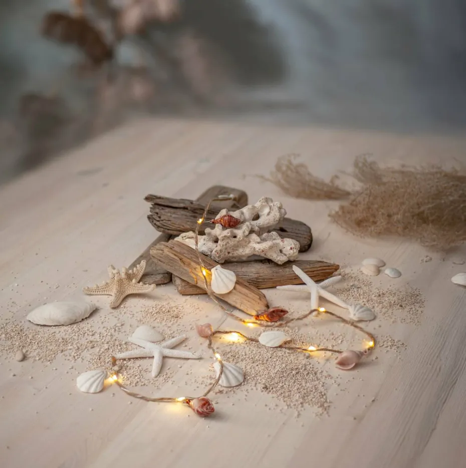 Star Trading String Light Seaside Shells