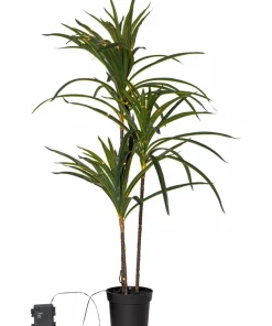 Star Trading Tre Bali 84cm