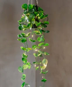 Star Trading Tre Laos 35