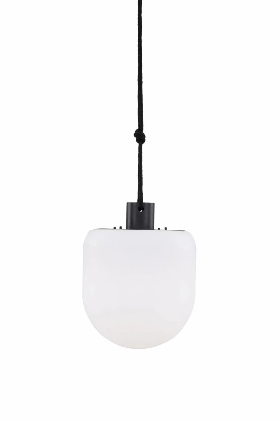 Venture Home Pendellampe Colie