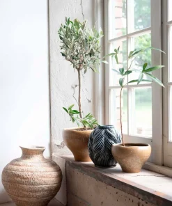 Wikholm Form Ajla Urne