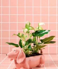 Wikholm Form Jacky Planter for hund