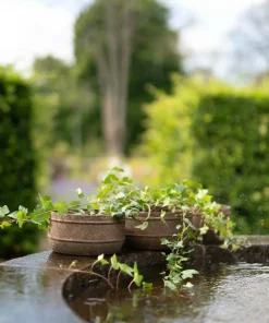 Wikholm Form Luna Planter 3-pakning