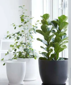 Wikholm Form Sophia Floor Pot 3-pakning